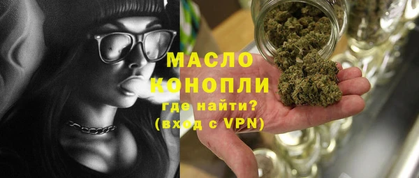 индика Медногорск