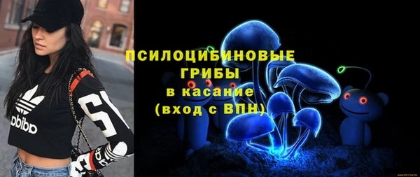 дмт Магас