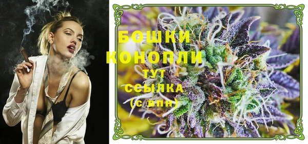 индика Медногорск