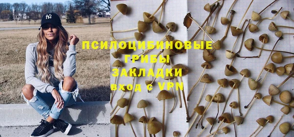 индика Медногорск