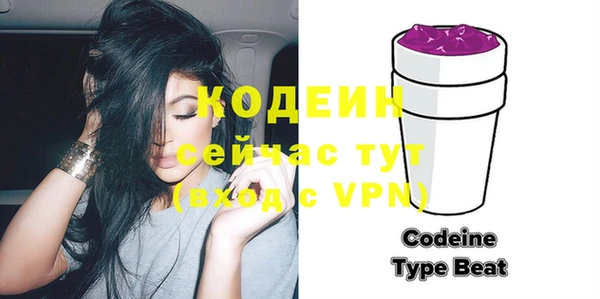 индика Медногорск