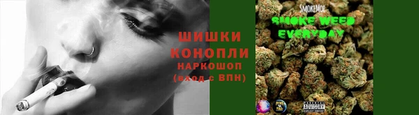 дживик Мегион