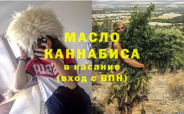 индика Медногорск