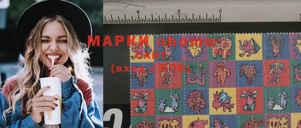 индика Медногорск