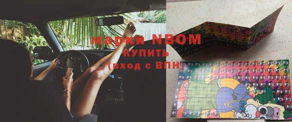 индика Медногорск