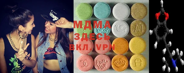 индика Медногорск